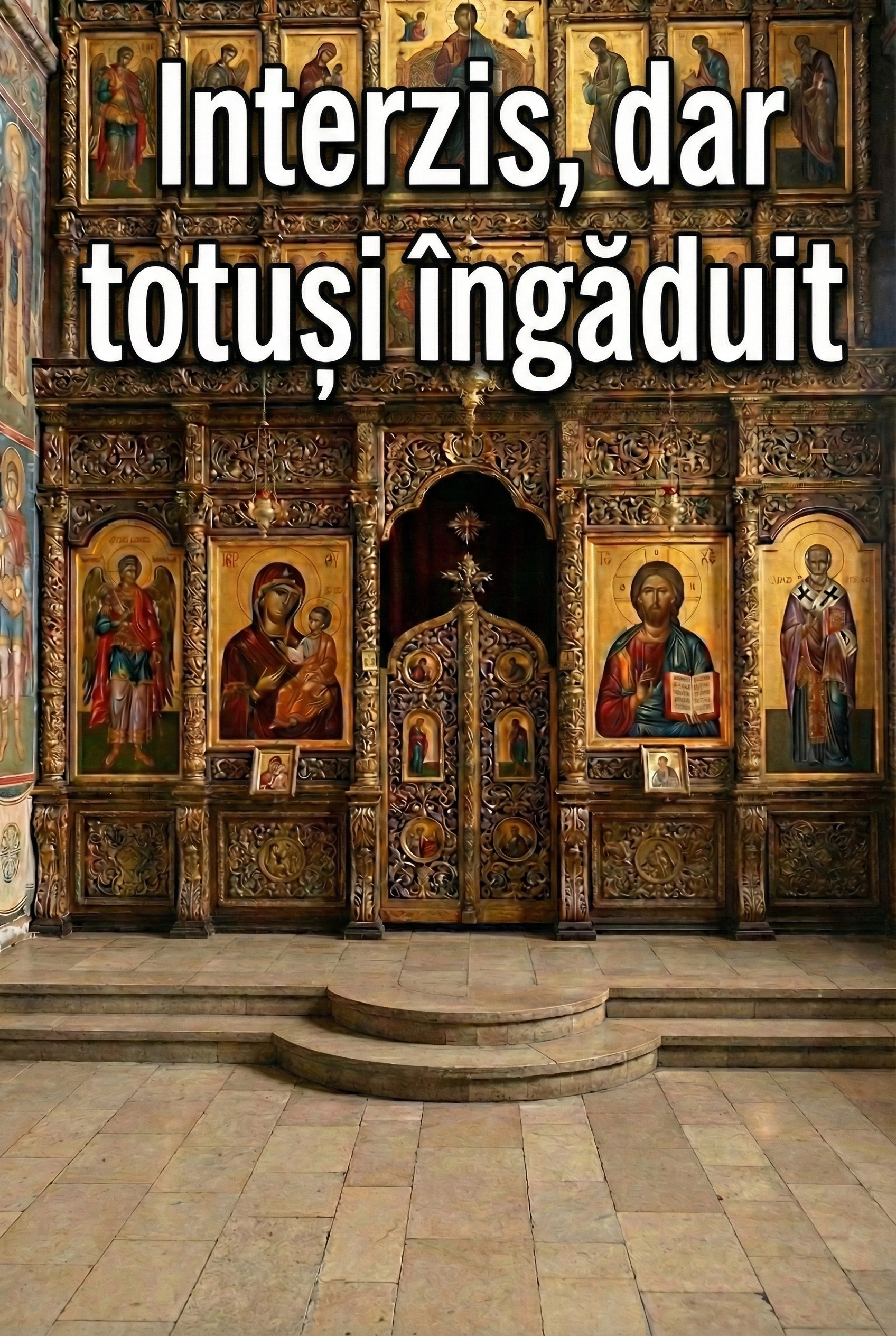 Canoanele zic una.Inima ta zice altceva